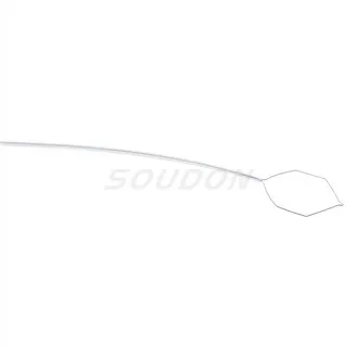 Hot Snare polipectomia